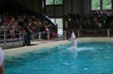 Zoo-News-247.de - Zoo Infos & Zoo Tipps | Foto: Schluss mit der Delfin-Show in Mnster (WDSF-Foto).