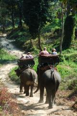 Thailand-News-247.de - Thailand Infos & Thailand Tipps | Foto: Elefantenritt in Thailand