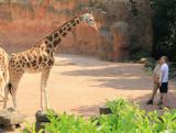 Zoo-News-247.de - Zoo Infos & Zoo Tipps | Foto: Per Mertesacker mit Patenkind Juji.