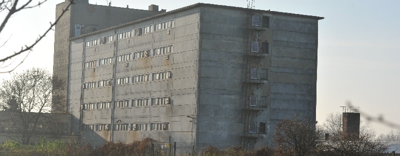 Deutsche-Politik-News.de | Schweinehochhaus in Maasdorf bei Halle