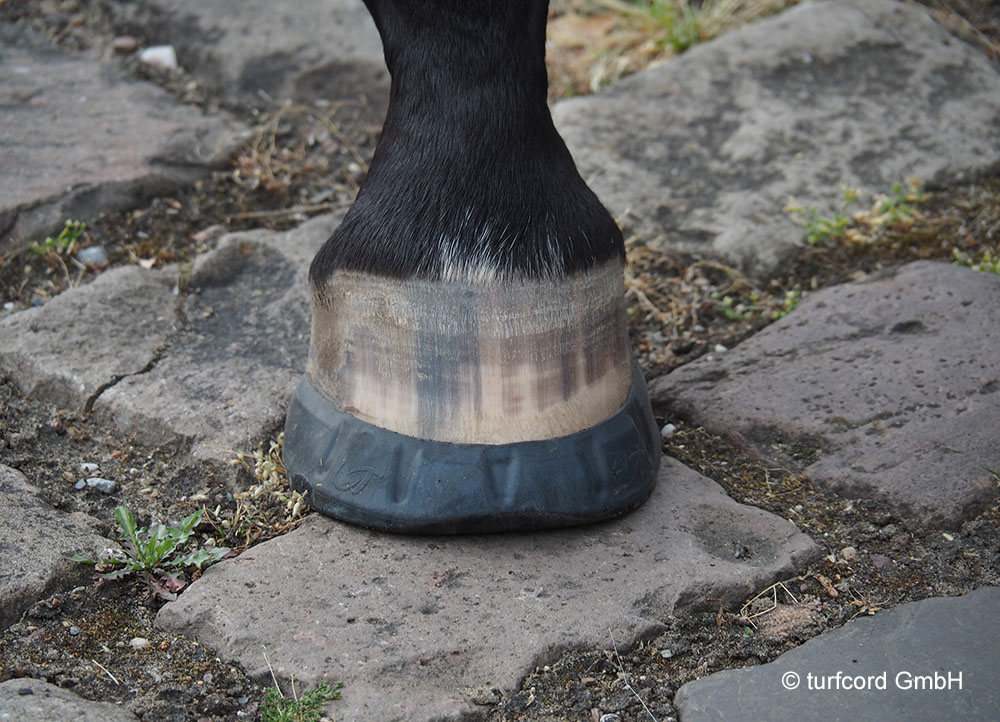 Tier Infos & Tier News @ Tier-News-247.de | Klebebeschlge sind die ideale Alternative fr starke und gesunde Pferdehufe. Foto: turfcord GmbH