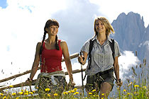 Hotel Infos & Hotel News @ Hotel-Info-24/7.de | Wandern durch grne Almen