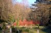Parkfriedhof-Hamburg-Ohlsdorf-2015-150406-DSC_0413.jpg