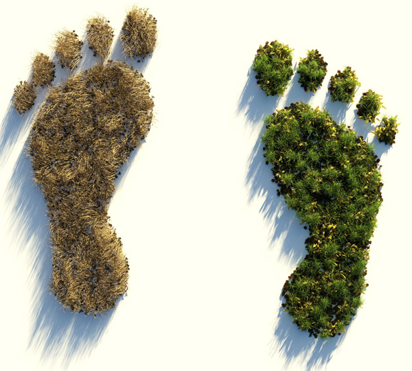 Die CO2-Steuer k�nnte auch umweltpolitisch Gutes bewirken - Bildvermerk: Bild von Colin Behrens auf Pixabay | Freie-Pressemitteilungen.de