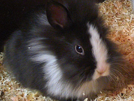  | Freie-Pressemitteilungen.de