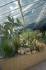 Planten-un-Blomen-Park-Hamburg-2013-120904-DSC_0278.jpg