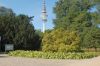 Planten-un-Blomen-Park-Hamburg-2013-120904-DSC_0345.jpg