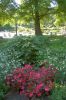 Planten-un-Blomen-Park-Hamburg-2013-120904-DSC_0497.jpg