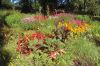 Planten-un-Blomen-Park-Hamburg-2013-120904-DSC_0506.jpg