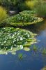 Planten-un-Blomen-Park-Hamburg-2013-120904-DSC_0623.jpg