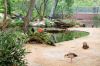 Zoologischer-Garten-Berlin-2013-130506-DSC_0205.jpg
