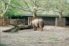 Zoologischer-Garten-Berlin-2013-130506-DSC_0716.jpg