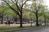 Boulevard-Unter-den-Linden-Berlin-2013-130507-DSC_0169.jpg