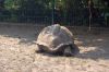 Tierpark-Berlin-Friedrichsfelde-2013-130810-DSC_0128.jpg