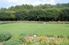 Tierpark-Berlin-Friedrichsfelde-2013-130810-DSC_0269.jpg