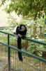 Tierpark-Berlin-Friedrichsfelde-2013-130810-DSC_0588.jpg