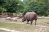 Tierpark-Berlin-Friedrichsfelde-2013-130810-DSC_0634.jpg