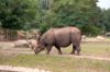 Tierpark-Berlin-Friedrichsfelde-2013-130810-DSC_0636.jpg