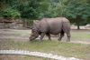 Tierpark-Berlin-Friedrichsfelde-2013-130810-DSC_0637.jpg