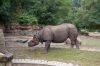 Tierpark-Berlin-Friedrichsfelde-2013-130810-DSC_0638.jpg