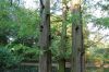 Tierpark-Berlin-Friedrichsfelde-2013-130810-DSC_0872.jpg