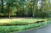 Tierpark-Berlin-Friedrichsfelde-2013-130810-DSC_0885.jpg