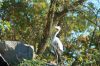 Tierpark-Berlin-Friedrichsfelde-2015-151010-DSC_0061.jpg