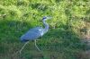 Tierpark-Berlin-Friedrichsfelde-2015-151010-DSC_0062.jpg