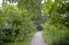 Botanischer-Garten-Dresden-Sachsen-2013-130813-DSC_0299.jpg