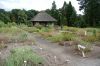 Botanischer-Garten-Dresden-Sachsen-2013-130813-DSC_0348.jpg