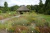 Botanischer-Garten-Dresden-Sachsen-2013-130813-DSC_0355.jpg