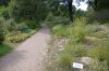 Botanischer-Garten-Dresden-Sachsen-2013-130813-DSC_0422.jpg