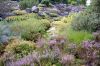 Botanischer-Garten-Dresden-Sachsen-2013-130813-DSC_0428.jpg