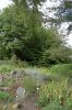 Botanischer-Garten-Dresden-Sachsen-2013-130813-DSC_0484.jpg