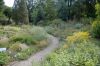 Botanischer-Garten-Dresden-Sachsen-2013-130813-DSC_0487.jpg