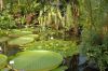 Botanischer-Garten-Dresden-Sachsen-2013-130813-DSC_0606.jpg