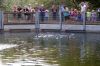 Tierpark-Neumuenster-in-Schleswig-Holstein-2013-130824-DSC_0135.jpg