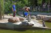 Tierpark-Neumuenster-in-Schleswig-Holstein-2013-130824-DSC_0143.jpg