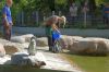 Tierpark-Neumuenster-in-Schleswig-Holstein-2013-130824-DSC_0145.jpg