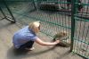 Tierpark-Neumuenster-in-Schleswig-Holstein-2013-130824-DSC_0218.jpg