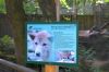 Tierpark-Neumuenster-in-Schleswig-Holstein-2013-130824-DSC_0316.jpg