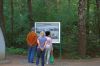 Tierpark-Neumuenster-in-Schleswig-Holstein-2013-130824-DSC_0362.jpg