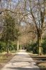 Parkfriedhof-Hamburg-Ohlsdorf-2015-150406-DSC_0103.jpg