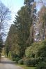 Parkfriedhof-Hamburg-Ohlsdorf-2015-150406-DSC_0152.jpg