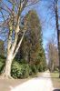 Parkfriedhof-Hamburg-Ohlsdorf-2015-150406-DSC_0162.jpg