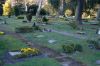 Parkfriedhof-Hamburg-Ohlsdorf-2015-150406-DSC_0498.jpg