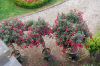 Schloss-Schwerin-MVP-2015-150815-DSC_0631.jpg