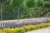 Schloss-Schwerin-MVP-2015-150815-DSC_0666.jpg
