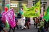 Wir-haben-Agrarindustrie-satt-Demo-Berlin-2016-160116-DSC_0439.jpg