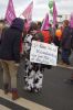 Wir-haben-Agrarindustrie-satt-Demo-Berlin-2016-160116-DSC_0606.jpg